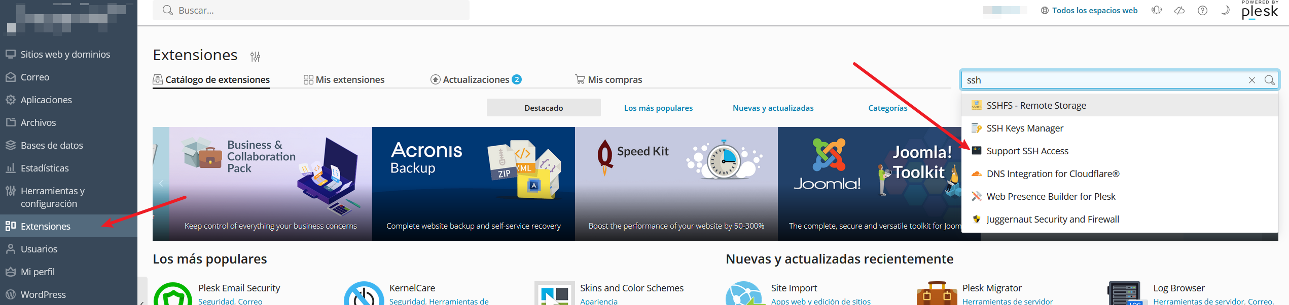 buscar extensión ssh plesk
